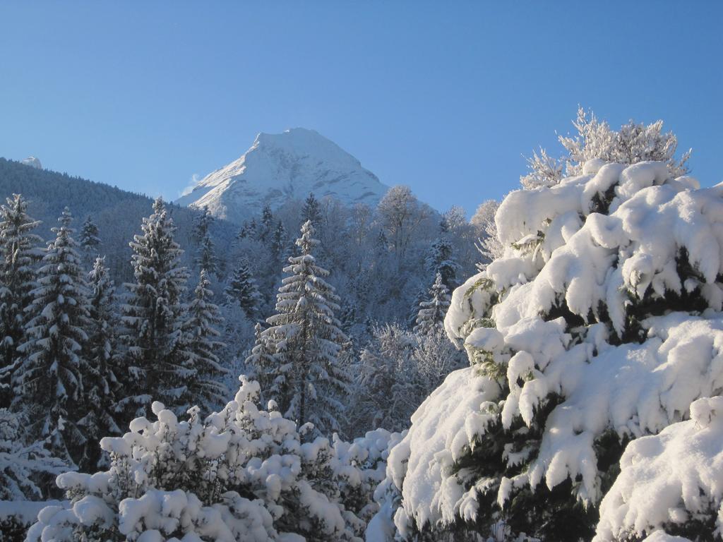 דירות Engedey Haus Alpengluehn מראה חיצוני תמונה